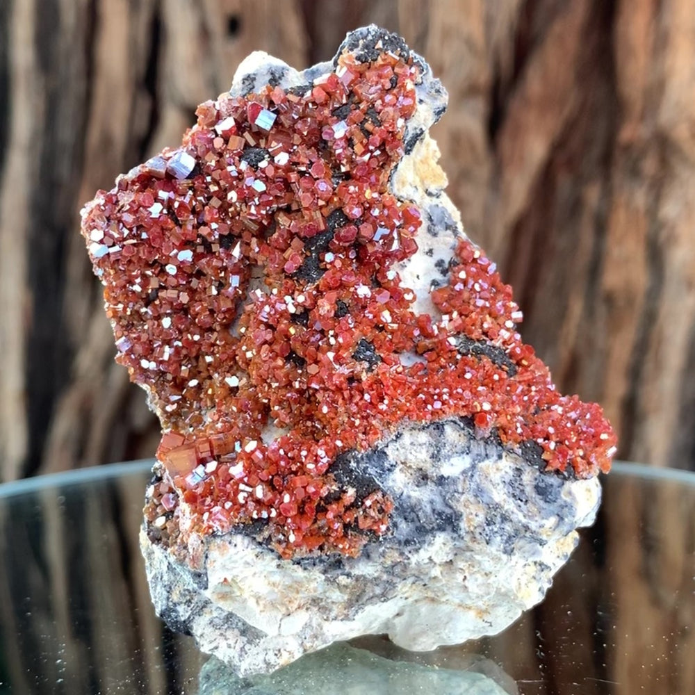 
            
                Load image into Gallery viewer, 8cm 162g Vanadinite from Mibladen, Morocco
            
        