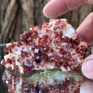 8cm 122g Vanadinite on White Barite from Mibladen, Morocco