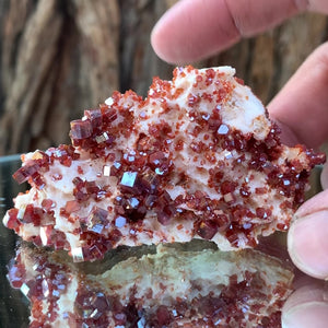 
            
                Load image into Gallery viewer, 8cm 122g Vanadinite on White Barite from Mibladen, Morocco
            
        