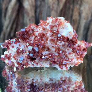 
            
                Load image into Gallery viewer, 8cm 122g Vanadinite on White Barite from Mibladen, Morocco
            
        