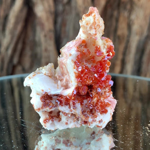 6.5cm 108g Vanadinite on White Barite from Mibladen, Morocco
