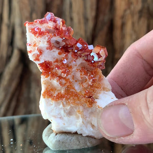 7cm 72g Vanadinite on White Barite from Mibladen, Morocco