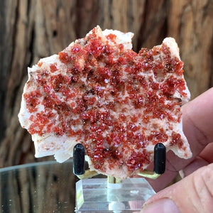 7.5cm 132g Vanadinite on White Barite from Mibladen, Morocco