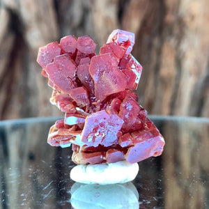 5cm 22g Vanadinite from Mibladen, Morocco