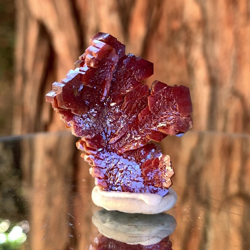
            
                Load image into Gallery viewer, 4cm 24g Vanadinite from Mibladen, Morocco
            
        