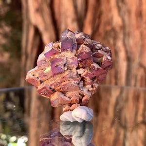 4.5cm 40g Vanadinite from Mibladen, Morocco