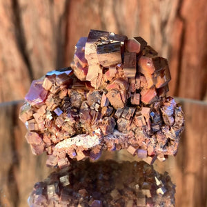 6cm 218g Vanadinite from Mibladen, Morocco