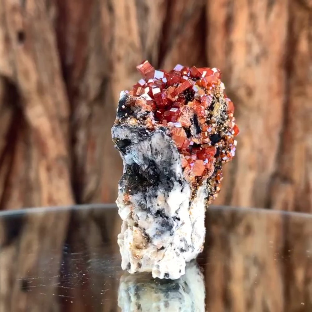 5cm 115g Vanadinite and Manganese from Mibladen, Morocco