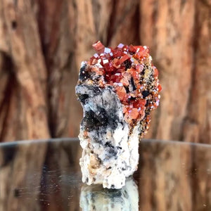 5cm 115g Vanadinite and Manganese from Mibladen, Morocco