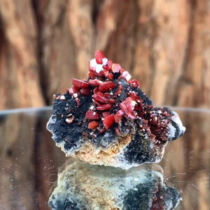 4cm 40g Vanadinite and Manganese from Mibladen, Morocco