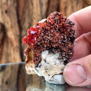 5.5cm 90g Vanadinite and Manganese from Mibladen, Morocco