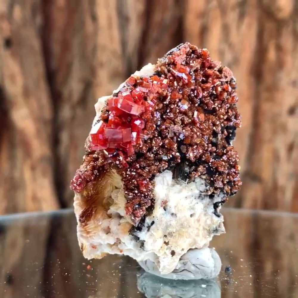 5.5cm 90g Vanadinite and Manganese from Mibladen, Morocco