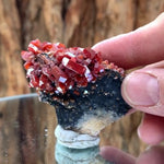 6.5cm 110g Vanadinite and Manganese from Mibladen, Morocco