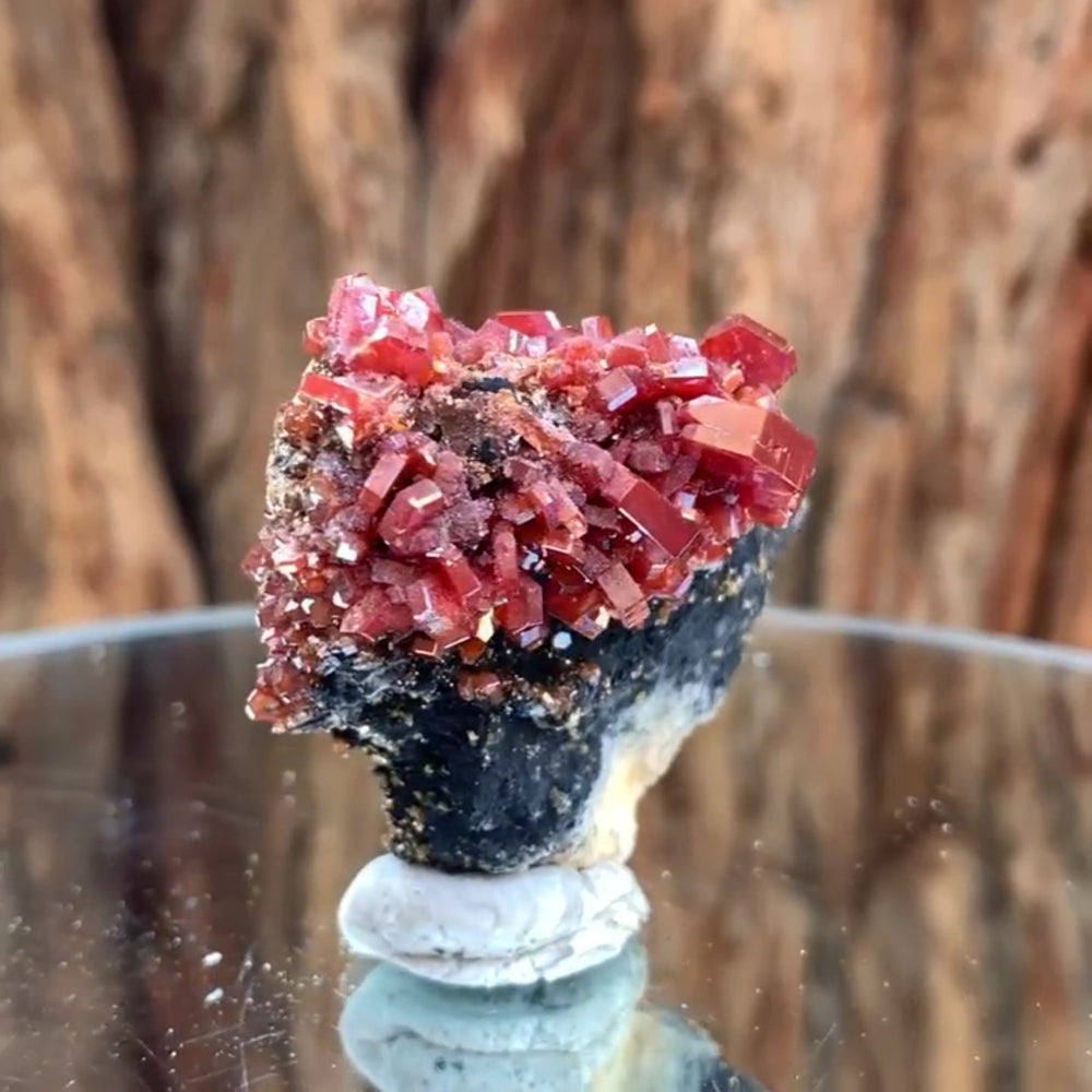 
            
                Load image into Gallery viewer, 6.5cm 110g Vanadinite and Manganese from Mibladen, Morocco
            
        