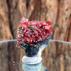 6.5cm 110g Vanadinite and Manganese from Mibladen, Morocco