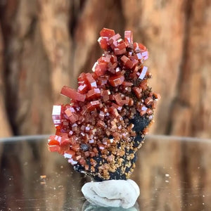4cm 20g Vanadinite and Manganese from Mibladen, Morocco