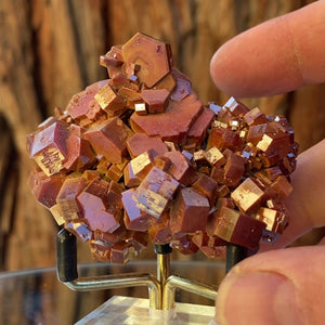 6.5cm 185g Red Vanadinite from Mibladen, Morocco