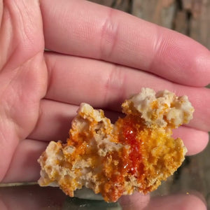 4.2cm 26g Vanadinite from Mibladen, Morocco