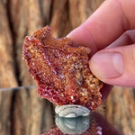 5cm 17g Vanadinite from Mibladen, Morocco