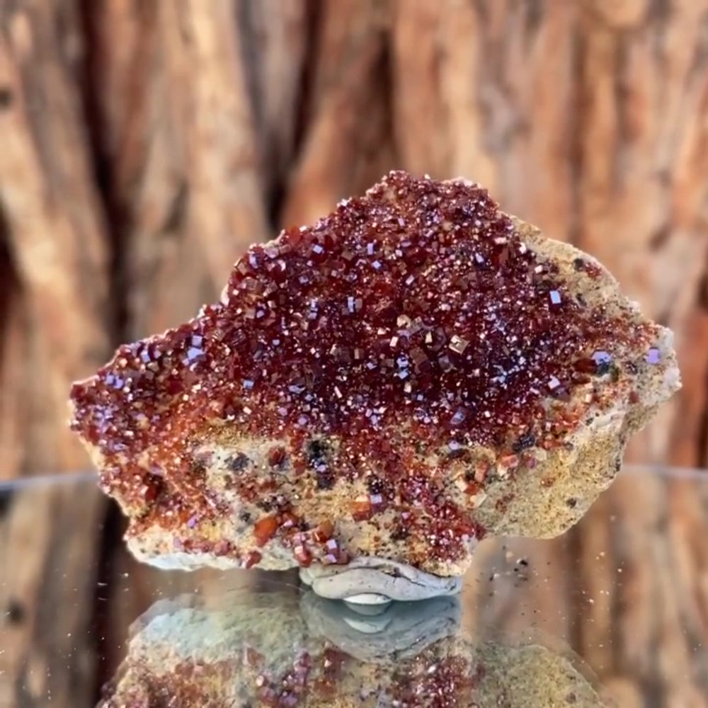 
            
                Load image into Gallery viewer, 7cm 62g Vanadinite from Mibladen, Morocco
            
        