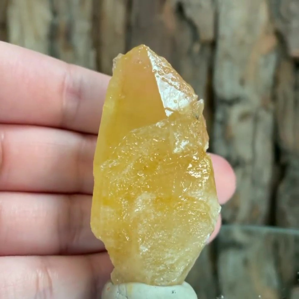 6.5cm 55g Yellow Dogtooth Calcite from Imilchil, Middle Atlas Mtns, Morocco