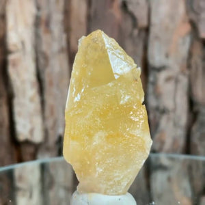 
            
                Load image into Gallery viewer, 6.5cm 55g Yellow Dogtooth Calcite from Imilchil, Middle Atlas Mtns, Morocco
            
        