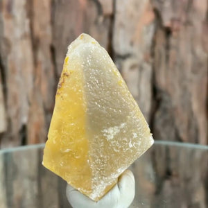 5.5cm 55g Yellow Dogtooth Calcite from Imilchil, Middle Atlas Mtns, Morocco