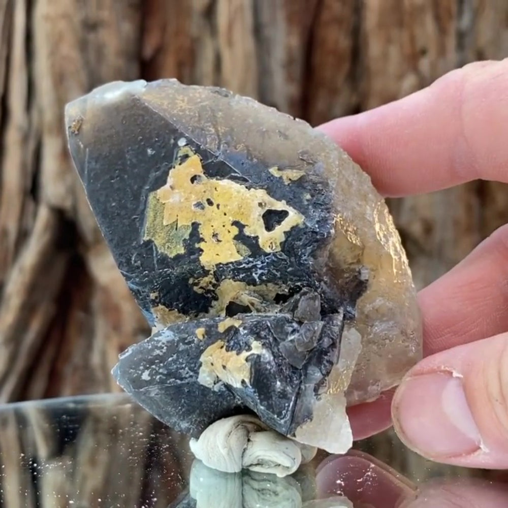8.5cm 165g Yellow Calcite from Imilchil, Middle Atlas Mtns, Morocco