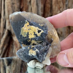 8.5cm 165g Yellow Calcite from Imilchil, Middle Atlas Mtns, Morocco