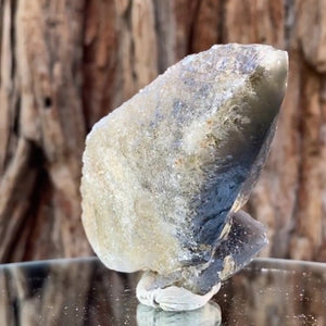 8.5cm 165g Yellow Calcite from Imilchil, Middle Atlas Mtns, Morocco