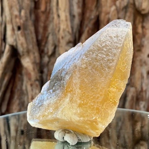 10.5cm 240g Yellow Calcite from Imilchil, Middle Atlas Mtns, Morocco