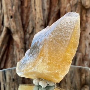 
            
                Load image into Gallery viewer, 10.5cm 240g Yellow Calcite from Imilchil, Middle Atlas Mtns, Morocco
            
        
