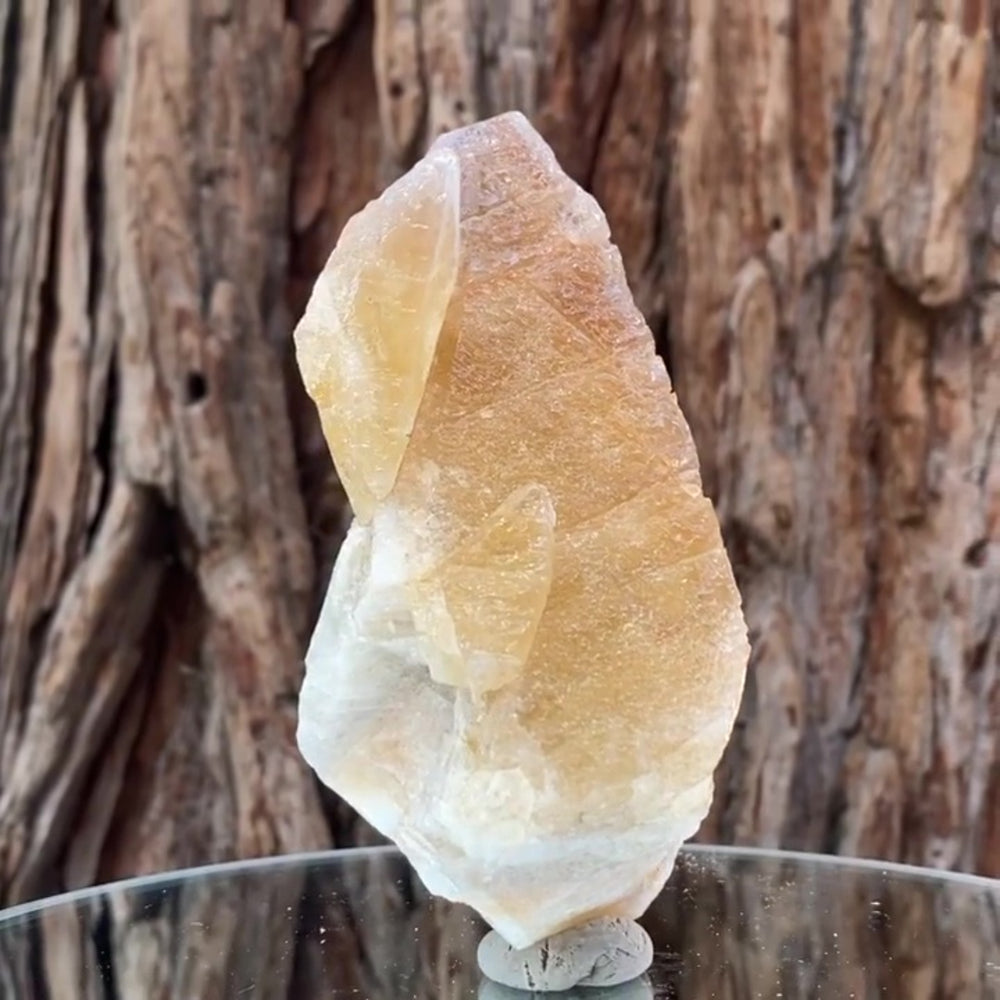 
            
                Load image into Gallery viewer, 12cm 430g Yellow Calcite from Imilchil, Middle Atlas Mtns, Morocco
            
        