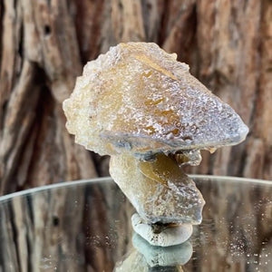 8.5cm 175g Yellow Calcite from Imilchil, Middle Atlas Mtns, Morocco