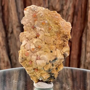 8.5cm 70g Garnet from Tongbei, Fujian, China