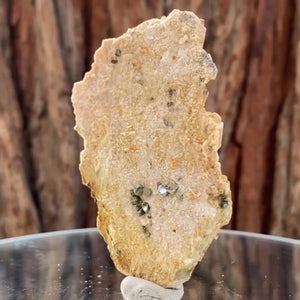 8.5cm 70g Garnet from Tongbei, Fujian, China