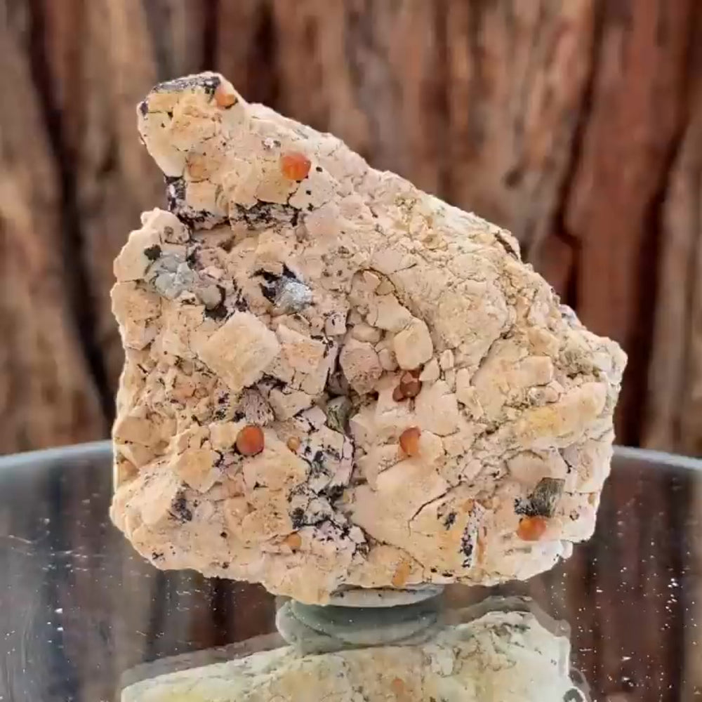 6.5cm 140g Garnet from Tongbei, Fujian, China