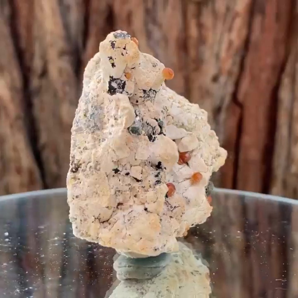 6.5cm 140g Garnet from Tongbei, Fujian, China