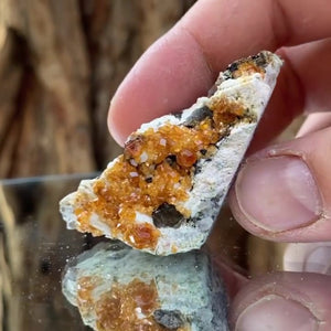 5.5cm 36g Garnet & Smoky Quartz from Fujian, China