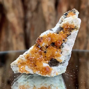 5.5cm 36g Garnet & Smoky Quartz from Fujian, China