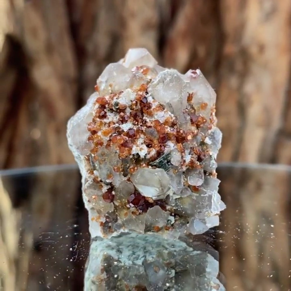 4.5cm 48g Garnet & Smoky Quartz from Fujian, China