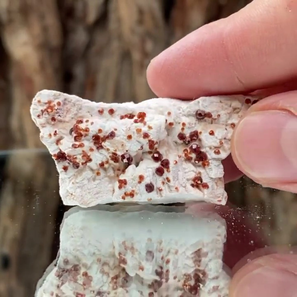 5.5cm 30g Garnet & Smoky Quartz from Fujian, China