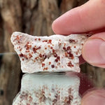 5.5cm 30g Garnet & Smoky Quartz from Fujian, China