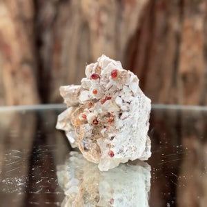 4cm 15g Garnet & Smoky Quartz from Fujian, China