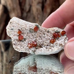 5.5cm 38g Garnet & Smoky Quartz from Fujian, China