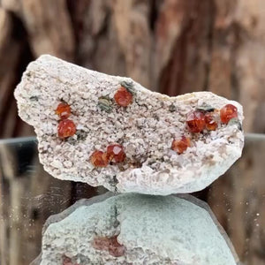 5.5cm 38g Garnet & Smoky Quartz from Fujian, China