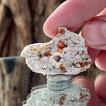 4.5cm 19g Garnet & Smoky Quartz from Fujian, China