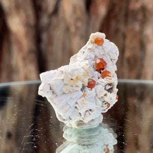 4.5cm 19g Garnet & Smoky Quartz from Fujian, China