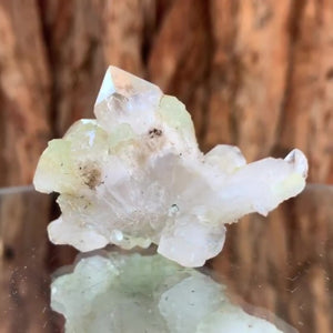 
            
                Load image into Gallery viewer, 5cm 40g Prehnite and Quartz from Yunnan, China
            
        
