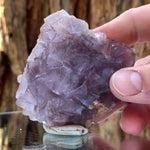 7cm 175g Purple Fluorite from Balochistan, Pakistan